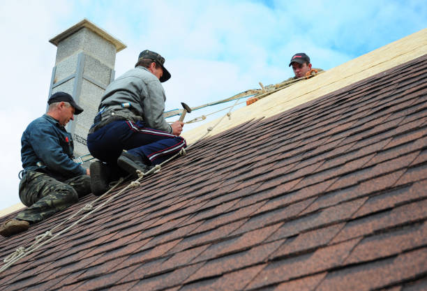 Quick and Trustworthy Emergency Roof Repair Services in Geneseo, IL