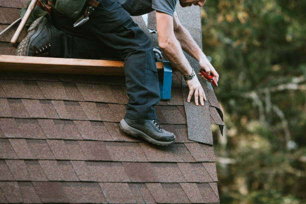 Best Flat Roof Repair Services  in Geneseo, IL